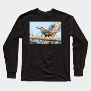 Plate-billed mountain toucan Long Sleeve T-Shirt